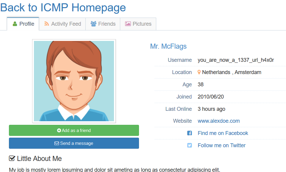 User profile of Mr. McFlags